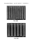 Devices And Method For Enrichment And Alteration Of Cells And Other     Particles diagram and image