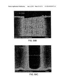 Devices And Method For Enrichment And Alteration Of Cells And Other     Particles diagram and image