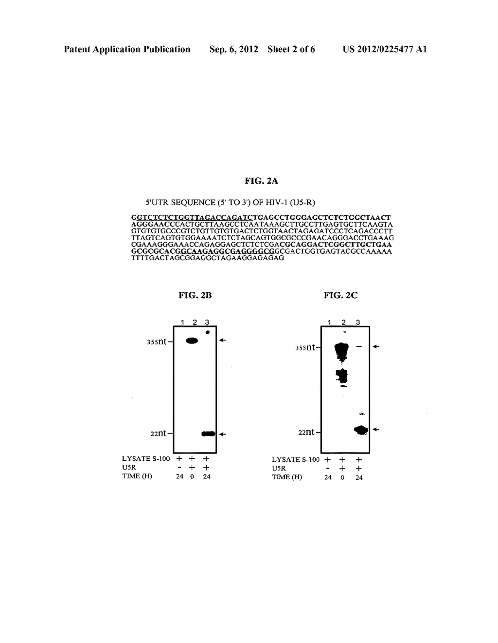 VIRAL AND VIRAL ASSOCIATED MIRNAS AND USES THEREOF - diagram, schematic, and image 03