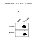 VIRAL AND VIRAL ASSOCIATED MIRNAS AND USES THEREOF diagram and image