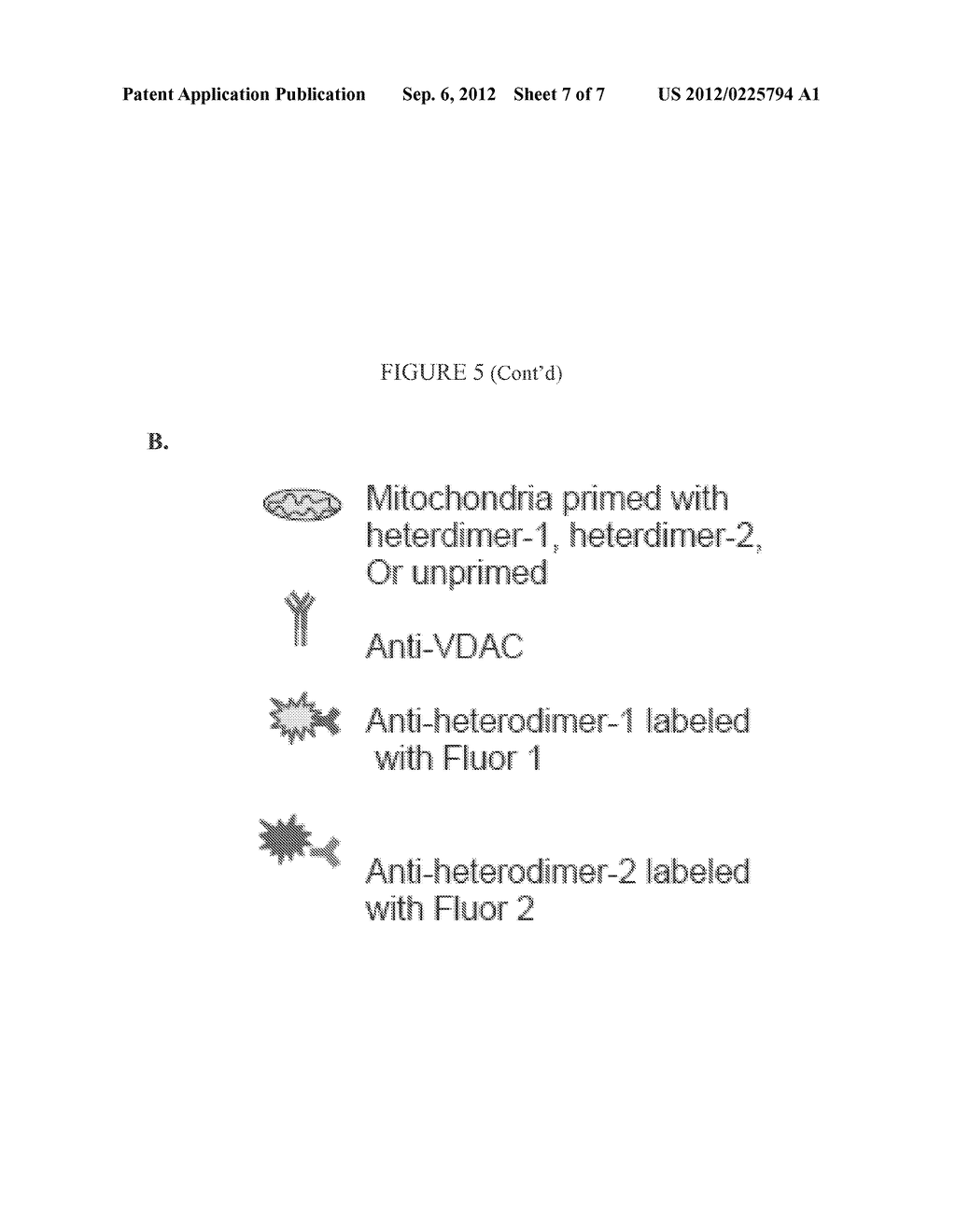 Antibodies Specific to Heterodimers of Bcl-2 Family and Uses Thereof - diagram, schematic, and image 08