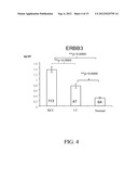 PROTEIN MARKERS FOR DETECTING LIVER CANCER AND METHOD FOR IDENTIFYING THE     MARKERS THEREOF diagram and image