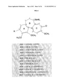 NOVEL COLCHICINE DERIVATIVES, METHODS AND USES THEREOF diagram and image