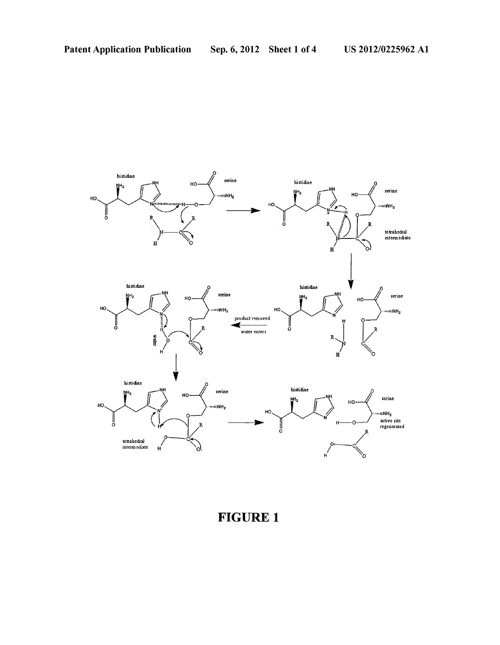 MOLECULARLY IMPRINTED POLYMERS, METHODS FOR THEIR PRODUCTION AND USES     THEREOF - diagram, schematic, and image 02