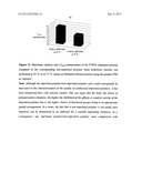 MOLECULARLY IMPRINTED POLYMERS, METHODS FOR THEIR PRODUCTION AND USES     THEREOF diagram and image