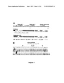 CYTOMEGALOVIRUS SURFACE PROTEIN COMPLEX FOR USE IN VACCINES AND AS A DRUG     TARGET diagram and image