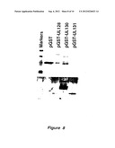 CYTOMEGALOVIRUS SURFACE PROTEIN COMPLEX FOR USE IN VACCINES AND AS A DRUG     TARGET diagram and image