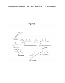 MICROBIAL PRODUCTION OF 3,4-DIHYDROXYBUTYRATE (3,4-DHBA), 2,3-     DIHYDROXYBUTYRATE (2,3-DHBA) AND 3-HYDROXYBUTYROLACTONE (3-HBL) diagram and image