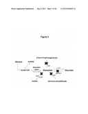 MICROBIAL PRODUCTION OF 3,4-DIHYDROXYBUTYRATE (3,4-DHBA), 2,3-     DIHYDROXYBUTYRATE (2,3-DHBA) AND 3-HYDROXYBUTYROLACTONE (3-HBL) diagram and image