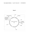 MICROBIAL PRODUCTION OF 3,4-DIHYDROXYBUTYRATE (3,4-DHBA), 2,3-     DIHYDROXYBUTYRATE (2,3-DHBA) AND 3-HYDROXYBUTYROLACTONE (3-HBL) diagram and image