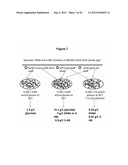 MICROBIAL PRODUCTION OF 3,4-DIHYDROXYBUTYRATE (3,4-DHBA), 2,3-     DIHYDROXYBUTYRATE (2,3-DHBA) AND 3-HYDROXYBUTYROLACTONE (3-HBL) diagram and image