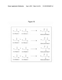 MICROBIAL PRODUCTION OF 3,4-DIHYDROXYBUTYRATE (3,4-DHBA), 2,3-     DIHYDROXYBUTYRATE (2,3-DHBA) AND 3-HYDROXYBUTYROLACTONE (3-HBL) diagram and image