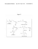 MICROBIAL PRODUCTION OF 3,4-DIHYDROXYBUTYRATE (3,4-DHBA), 2,3-     DIHYDROXYBUTYRATE (2,3-DHBA) AND 3-HYDROXYBUTYROLACTONE (3-HBL) diagram and image