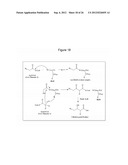 MICROBIAL PRODUCTION OF 3,4-DIHYDROXYBUTYRATE (3,4-DHBA), 2,3-     DIHYDROXYBUTYRATE (2,3-DHBA) AND 3-HYDROXYBUTYROLACTONE (3-HBL) diagram and image