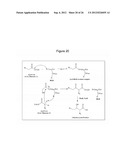 MICROBIAL PRODUCTION OF 3,4-DIHYDROXYBUTYRATE (3,4-DHBA), 2,3-     DIHYDROXYBUTYRATE (2,3-DHBA) AND 3-HYDROXYBUTYROLACTONE (3-HBL) diagram and image