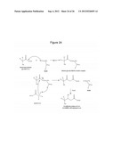 MICROBIAL PRODUCTION OF 3,4-DIHYDROXYBUTYRATE (3,4-DHBA), 2,3-     DIHYDROXYBUTYRATE (2,3-DHBA) AND 3-HYDROXYBUTYROLACTONE (3-HBL) diagram and image