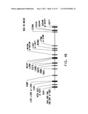 MUTANT DELTA-9 ELONGASES AND THEIR USE IN MAKING POLYUNSATURATED FATTY     ACIDS diagram and image