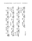 MUTANT DELTA-9 ELONGASES AND THEIR USE IN MAKING POLYUNSATURATED FATTY     ACIDS diagram and image