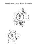 MUTANT DELTA-9 ELONGASES AND THEIR USE IN MAKING POLYUNSATURATED FATTY     ACIDS diagram and image