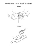 Animal Marking Devices, Transfer Assemblies, and Useful Restraints diagram and image