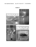 Animal Marking Devices, Transfer Assemblies, and Useful Restraints diagram and image