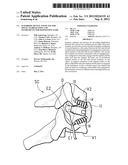 INTERBODY DEVICE AND PLATE FOR SPINAL STABILIZATION AND INSTRUMENTS FOR     POSITIONING SAME diagram and image