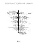 Method and System for Creating and Utilizing a Metadata Apparatus for     Management Applications diagram and image