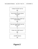 APPARATUS AND METHOD FOR LAYER-2 AND LAYER-3 VPN DISCOVERY diagram and image