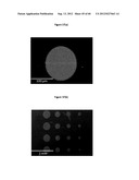 OXIDE METAL SEMICONDUCTOR SUPERLATTICES FOR THERMOELECTRICS diagram and image