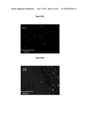 OXIDE METAL SEMICONDUCTOR SUPERLATTICES FOR THERMOELECTRICS diagram and image