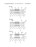 SENSOR, KEYBOARD AND METHOD FOR MANUFACTURING SENSOR diagram and image