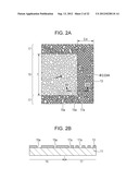 TRANSPARENT ELECTRODE ELEMENT, INFORMATION INPUT DEVICE, AND ELECTRONIC     APPARATUS diagram and image