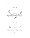 TRANSPARENT ELECTRODE ELEMENT, INFORMATION INPUT DEVICE, AND ELECTRONIC     APPARATUS diagram and image