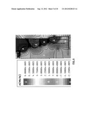 CREATION OF MAGNETIC FIELD (VECTOR POTENTIAL) WELL FOR IMPROVED PLASMA     DEPOSITION AND RESPUTTERING UNIFORMITY diagram and image