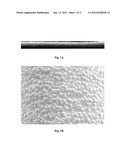 Methods of Preparation and Manufacture of Biocompatible Solid-Phase     Microextraction Coatings and Coated Devices diagram and image