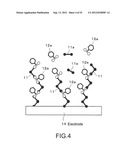 PHOTOELECTRIC CONVERSION ELEMENT, PRODUCTION METHOD FOR A PHOTOELECTRIC     CONVERSION ELEMENT, SOLID-STATE IMAGE SENSOR, PRODUCTION METHOD FOR A     SOLID-STATE IMAGE SENSOR, ELECTRONIC APPARATUS, PHOTOCONDUCTOR,     PRODUCTION METHOD FOR A PHOTOCONDUCTOR AND MULTILAYER TRANSPARENT     PHOTOELECTRIC CONVERSION ELEMENT diagram and image