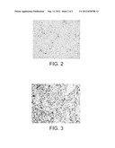 METHOD FOR PREPARING A POROUS NUCLEAR FUEL BASED ON AT LEAST ONE MINOR     ACTINIDE diagram and image