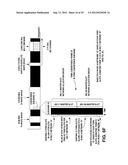 METHOD, APPARATUS AND COMPUTER PROGRAM FOR CONTROLLING COEXISTENCE BETWEEN     WIRELESS NETWORKS diagram and image