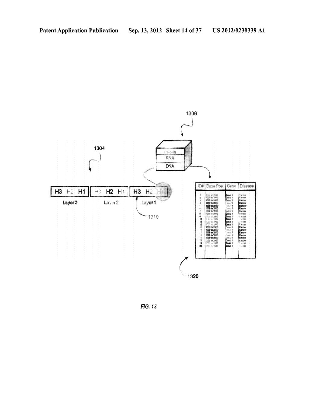 BIOLOGICAL DATA NETWORKS AND METHODS THEREFOR - diagram, schematic, and image 15