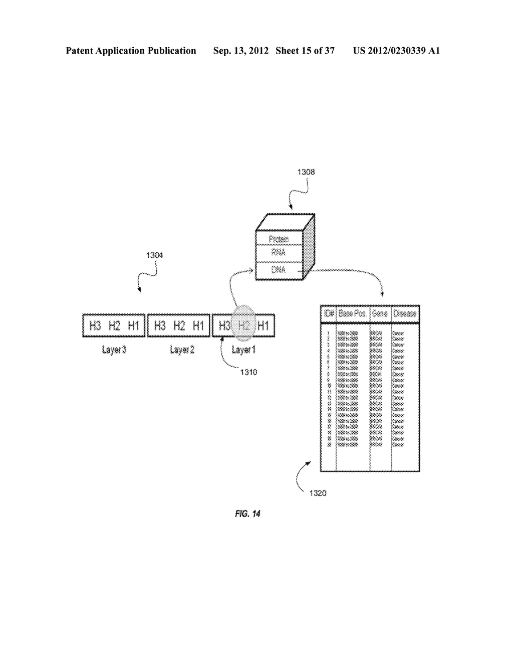 BIOLOGICAL DATA NETWORKS AND METHODS THEREFOR - diagram, schematic, and image 16