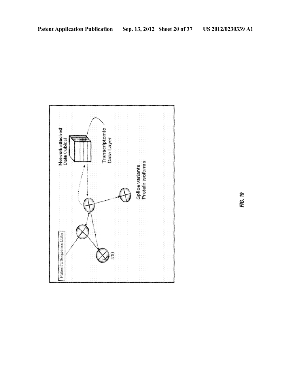 BIOLOGICAL DATA NETWORKS AND METHODS THEREFOR - diagram, schematic, and image 21