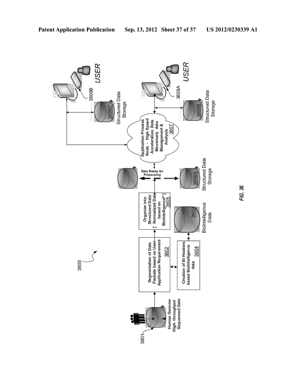 BIOLOGICAL DATA NETWORKS AND METHODS THEREFOR - diagram, schematic, and image 38