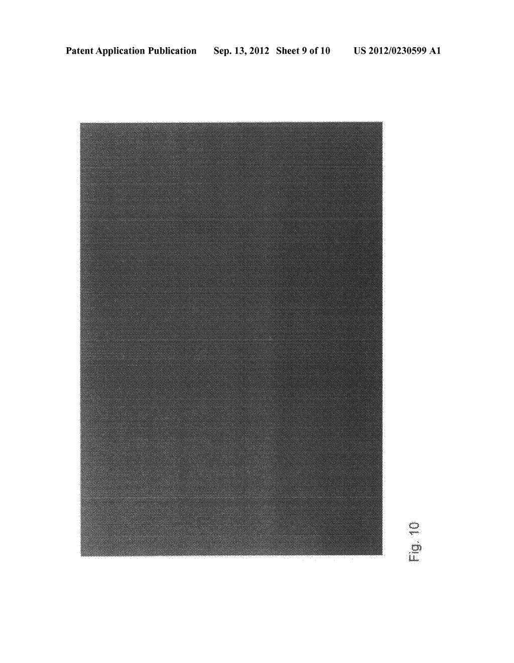 Decoder and a method therof for improving decoding of image and video     signals - diagram, schematic, and image 10