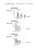 IMAGE FORMING APPARATUS diagram and image