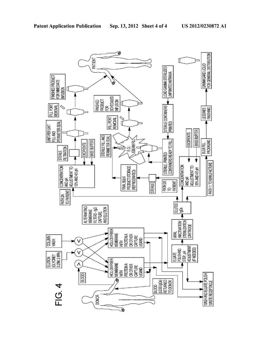 SYSTEMS AND METHODS FOR OBTAINING IMMUNOGLOBULIN FROM BLOOD - diagram, schematic, and image 05