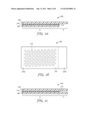 CARRIER WITH FLEXIBLE MICROASSAY DEVICE AND METHODS OF USE diagram and image