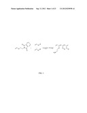 Polyconjugates for In Vivo Delivery of Polynucleotides diagram and image