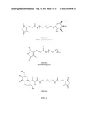 Polyconjugates for In Vivo Delivery of Polynucleotides diagram and image