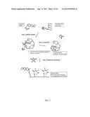 Polyconjugates for In Vivo Delivery of Polynucleotides diagram and image