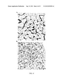 Polyconjugates for In Vivo Delivery of Polynucleotides diagram and image